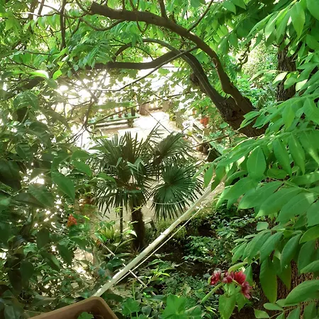 Appartamento Mariza *