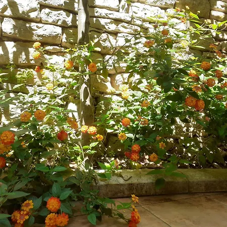 Mariza Appartamento *