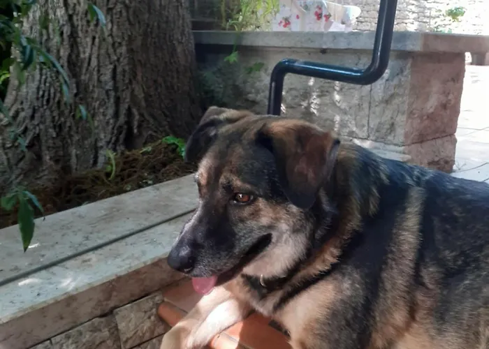 Appartement Mariza *